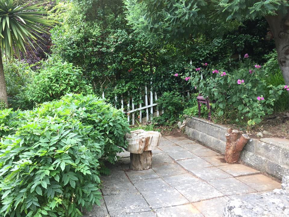 Pruning, Worle lower seating area finished